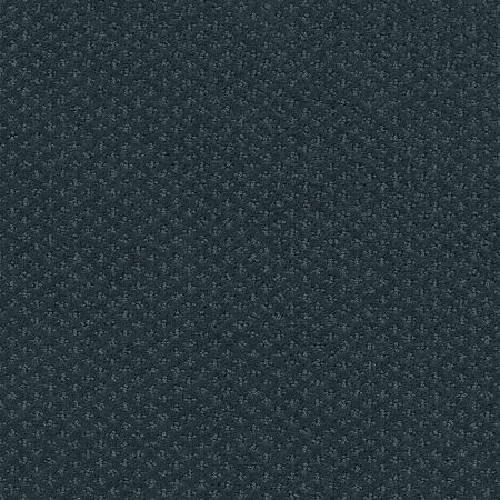 Shaw Floors Roll Special Xy093 Indigo