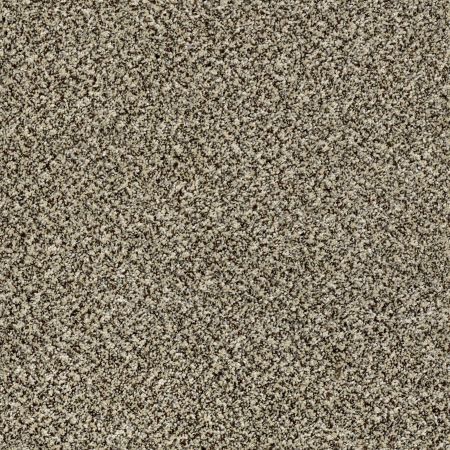 Shaw Floors Roll Special Xy139 Cape Town