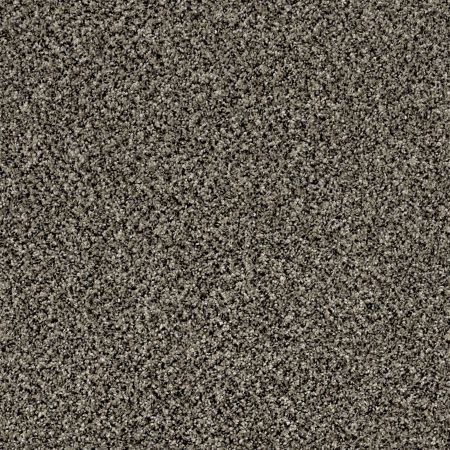 Shaw Floors Roll Special Xy143 Timber Wolf