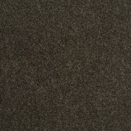 Shaw Floors Roll Special Xy157 Garden Retreat