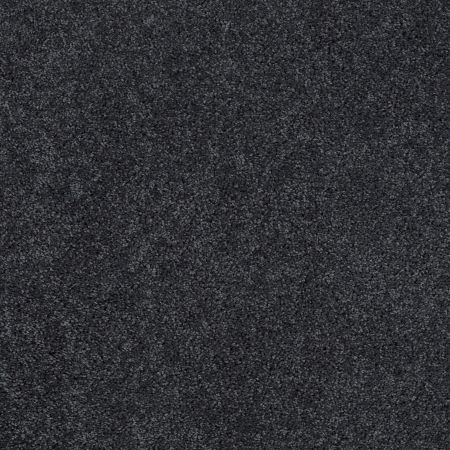 Shaw Floors Roll Special Xy157 Indigo