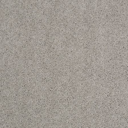 Shaw Floors Roll Special Xy157 Sea Salt