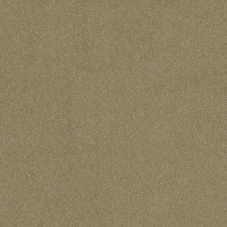 Shaw Floors Roll Special Xy157 Prairie