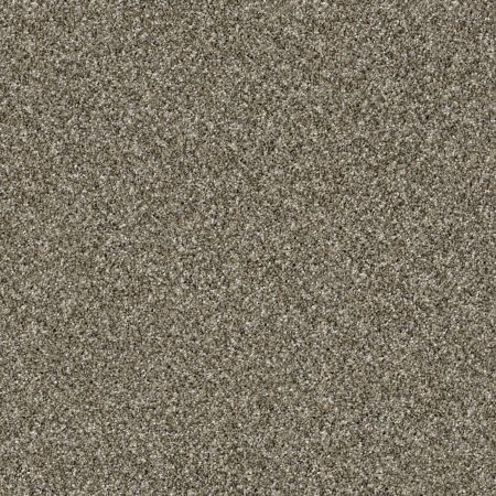 Shaw Floors Roll Special Xy160 Arbor