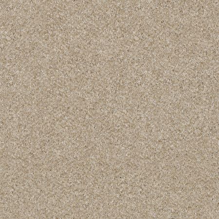 Shaw Floors Value Collections Xy163 Net Linen