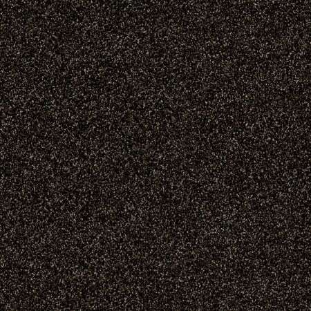 Shaw Floors Value Collections Xy169 Net Rich Earth