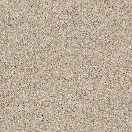 Shaw Floors Roll Special Xy176 Biscotti