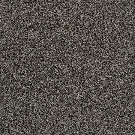 Shaw Floors Roll Special Xy176 Meteorite