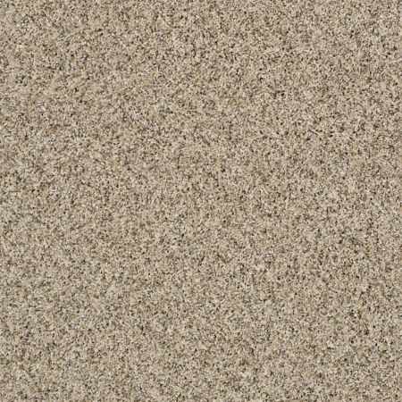 Shaw Floors Roll Special Xy178 Colonial Cream