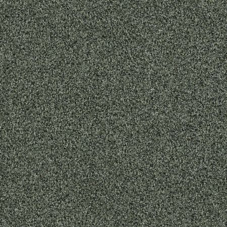 Shaw Floors Roll Special Xy184 Lush