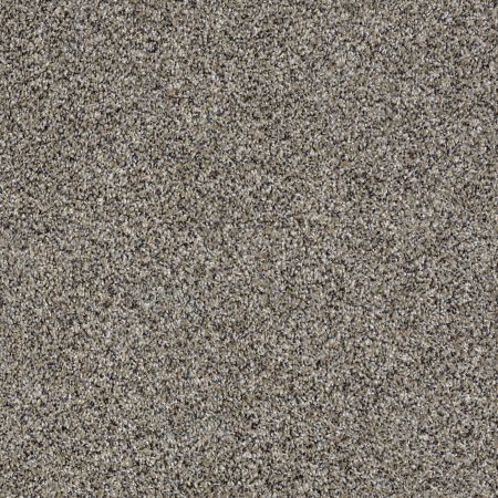 Shaw Floors Value Collections Xy194 Castle