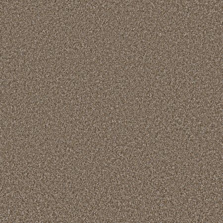 Shaw Floors Value Collections Xy194 Chateau