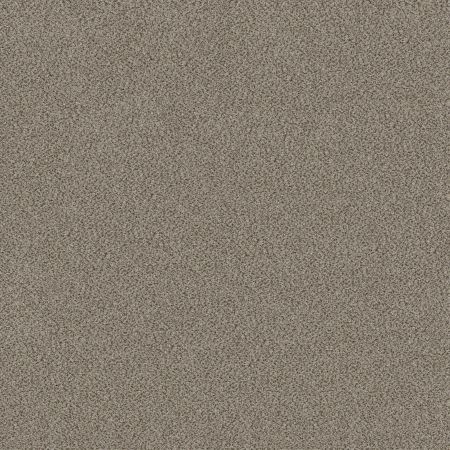 Shaw Floors Roll Special Xy324 Iron Works