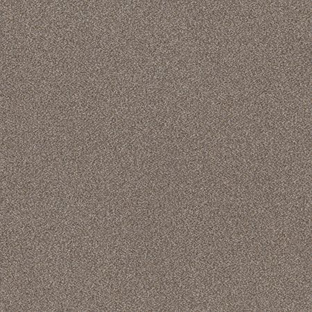 Shaw Floors Roll Special Xy324 Cobble Drive