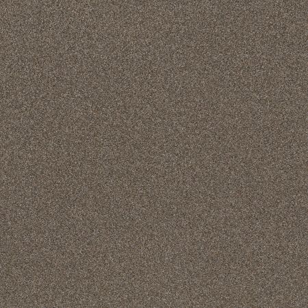 Shaw Floors Roll Special Xy324 City Scape