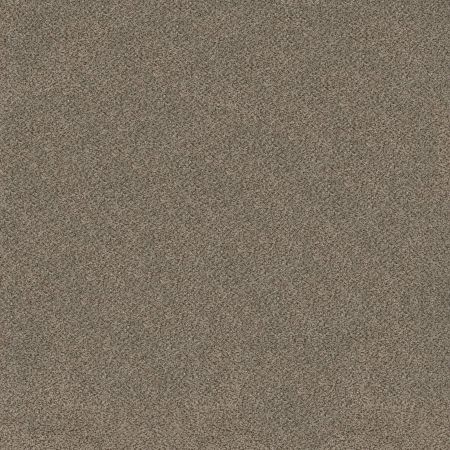 Shaw Floors Roll Special Xy324 Truffle
