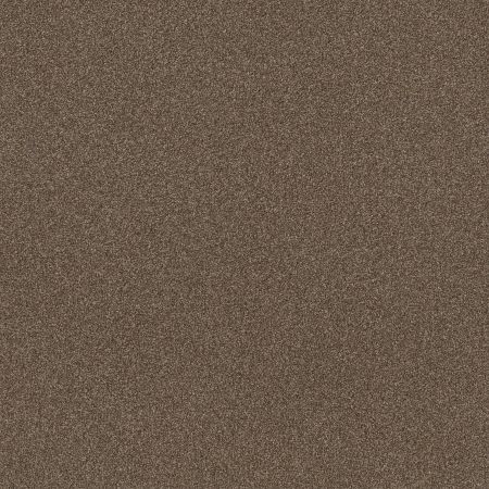 Shaw Floors Roll Special Xy324 Chestnut