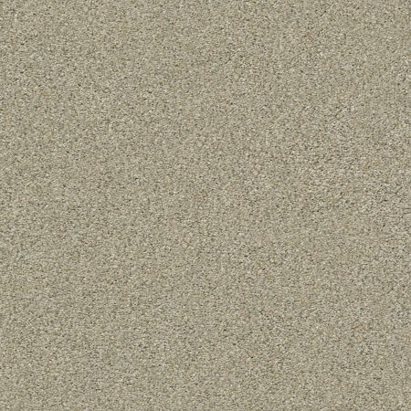 Shaw Floors Roll Special Xy326 Morning Light