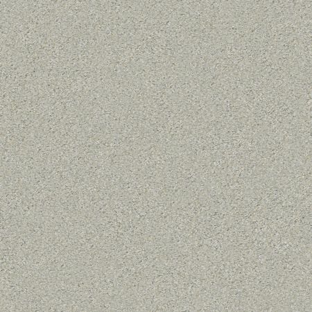 Shaw Floors Roll Special Xy326 Reflection