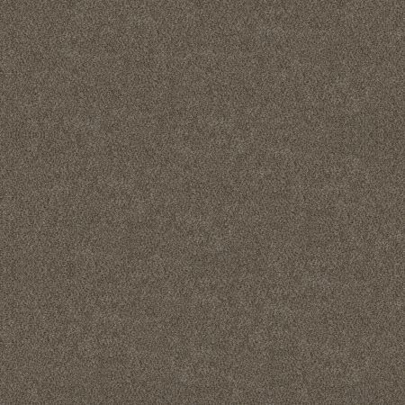 Shaw Floors Roll Special Xy326 Woodcraft