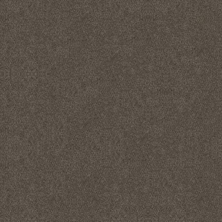 Shaw Floors Roll Special Xy326 Gateway