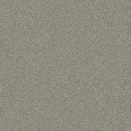 Shaw Floors Roll Special Xy326 Dreamscape