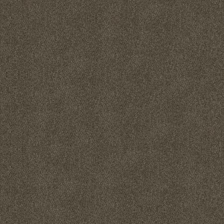 Shaw Floors Roll Special Xy326 Chestnut Ridge