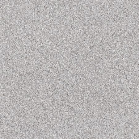 Shaw Floors Roll Special Xy334 Silver Lining