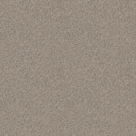 Shaw Floors Roll Special Xy334 Sandstone