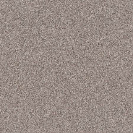 Shaw Floors Roll Special Xy334 Baltic Stone