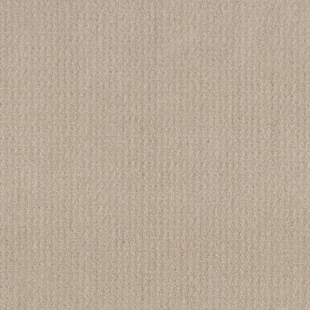 Shaw Floors Roll Special Xy337 Biscuit