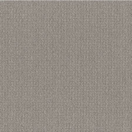 Shaw Floors Roll Special Xy337 Steel Beam