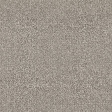 Shaw Floors Roll Special Xy337 Fossil