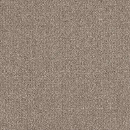 Shaw Floors Roll Special Xy337 Simply Tan