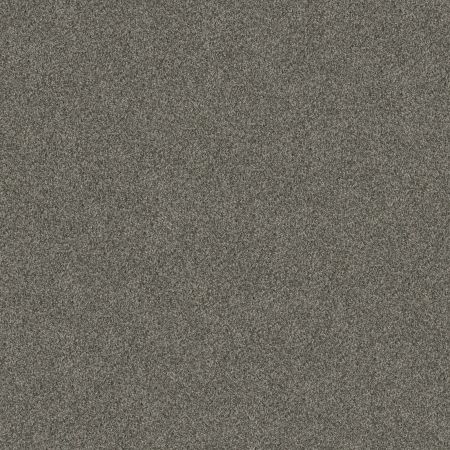 Shaw Floors Roll Special Xy346 Rerooted Nature