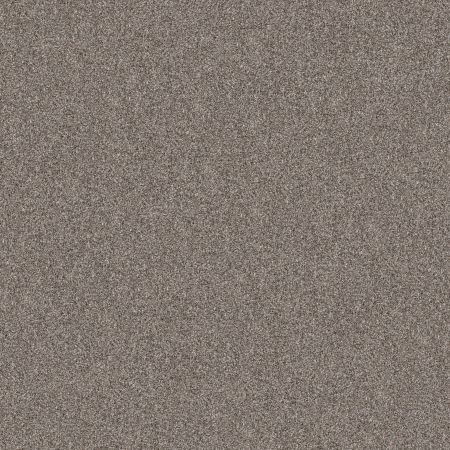 Shaw Floors Roll Special Xy350 Chic Greige