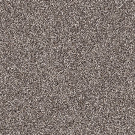 Shaw Floors Roll Special Xy351 Alaskan Air