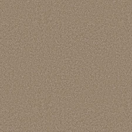 Shaw Floors Roll Special Xy352 Worn Path