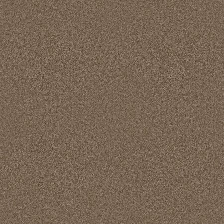 Shaw Floors Roll Special Xy352 Mission Ridge