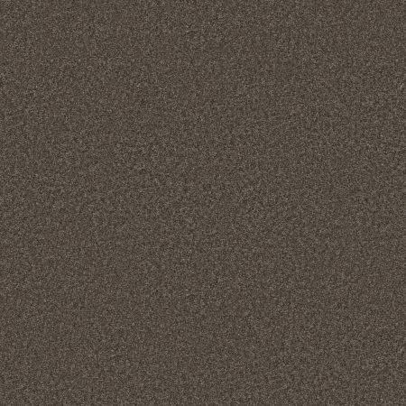 Shaw Floors Roll Special Xy352 Urban Rustic