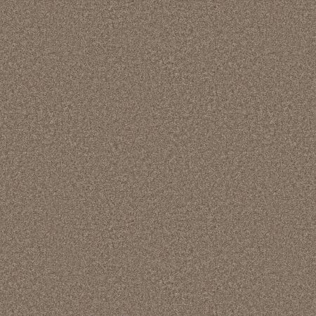 Shaw Floors Roll Special Xy353 Cameo