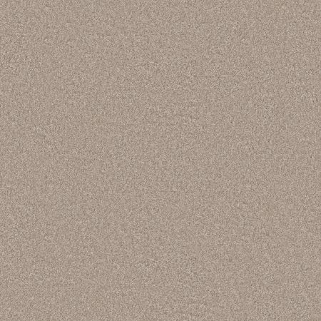 Shaw Floors Roll Special Xy353 Subtle Clay