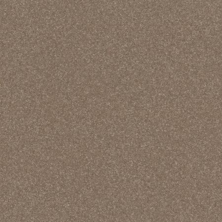 Shaw Floors Roll Special Xy356 Cameo