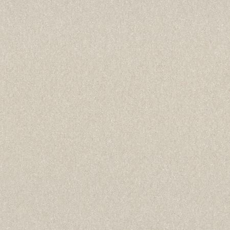 Shaw Floors Roll Special Xy356 Snowfall