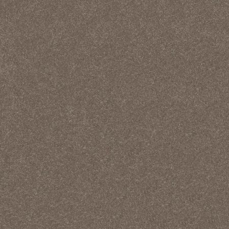 Shaw Floors Roll Special Xy356 Cobblestone