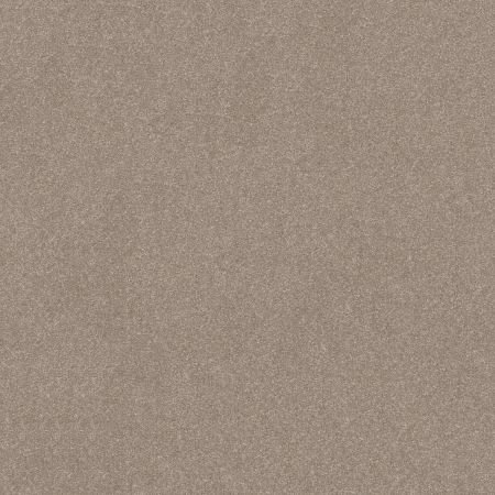 Shaw Floors Roll Special Xy357 Glacier