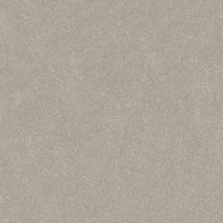 Shaw Floors Roll Special Xy359 Sculpture