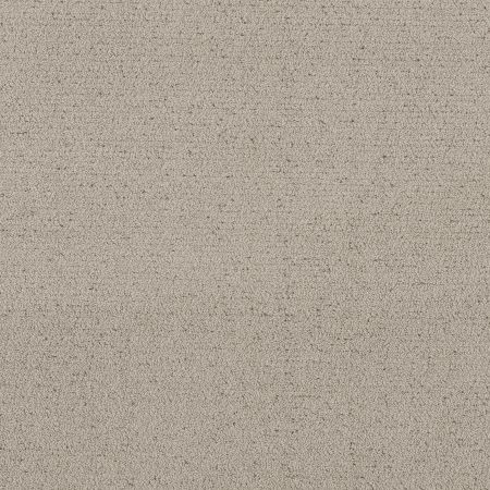 Shaw Floors Roll Special Xy362 River Birch