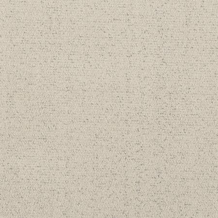 Shaw Floors Roll Special Xy362 Snowfall