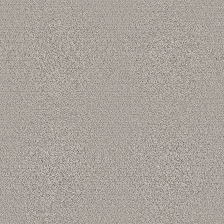 Shaw Floors Roll Special Xy362 Rock Crystal